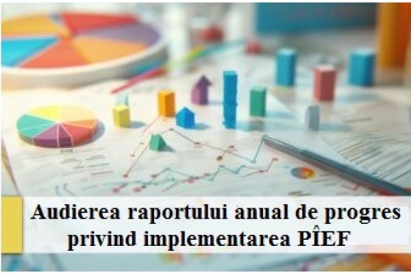 raport-pief